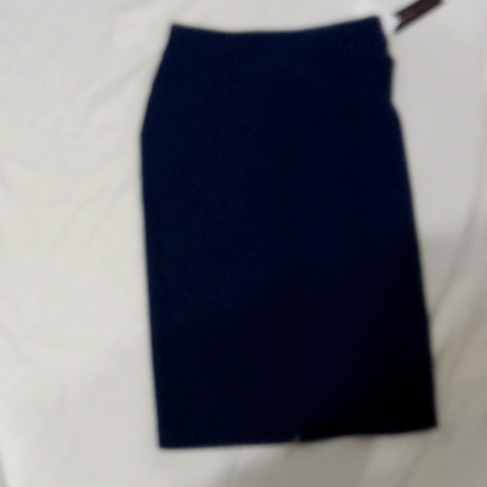 New York & company skirt